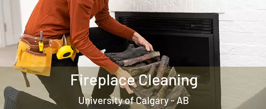  Fireplace Cleaning University of Calgary - AB