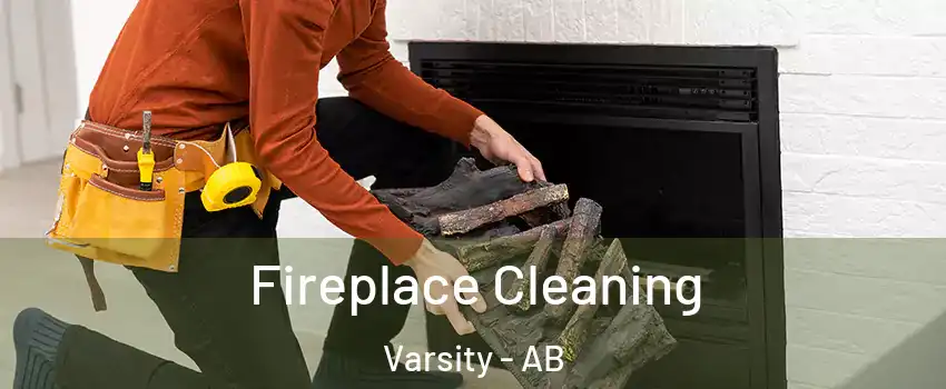  Fireplace Cleaning Varsity - AB
