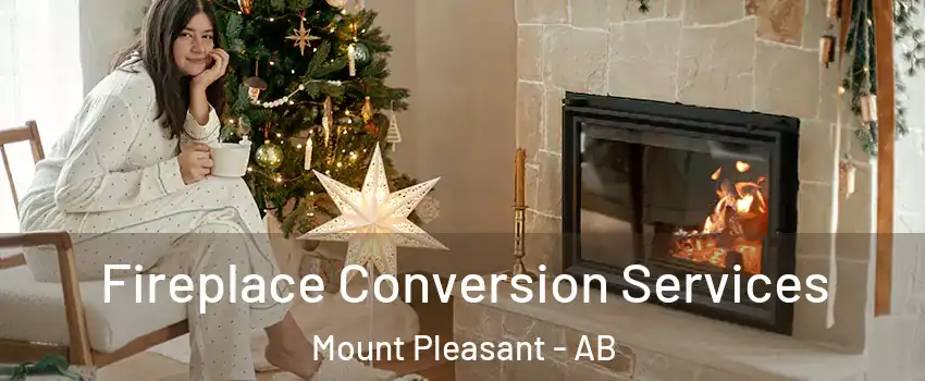 Fireplace Conversion Services Mount Pleasant - AB