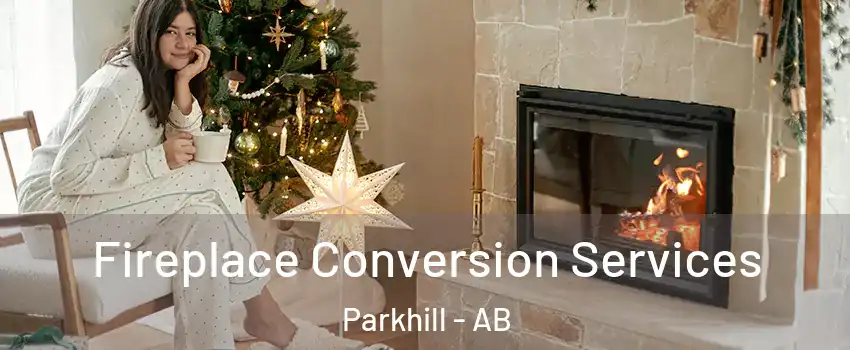  Fireplace Conversion Services Parkhill - AB