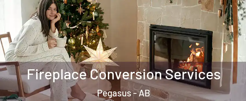  Fireplace Conversion Services Pegasus - AB