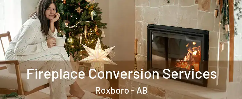  Fireplace Conversion Services Roxboro - AB