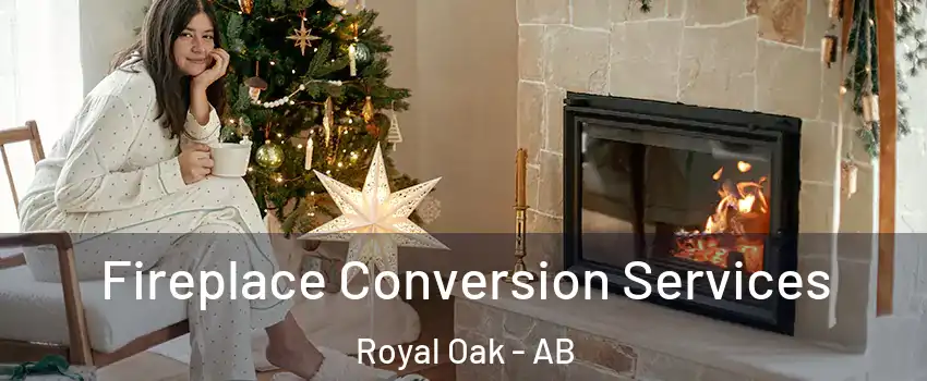  Fireplace Conversion Services Royal Oak - AB