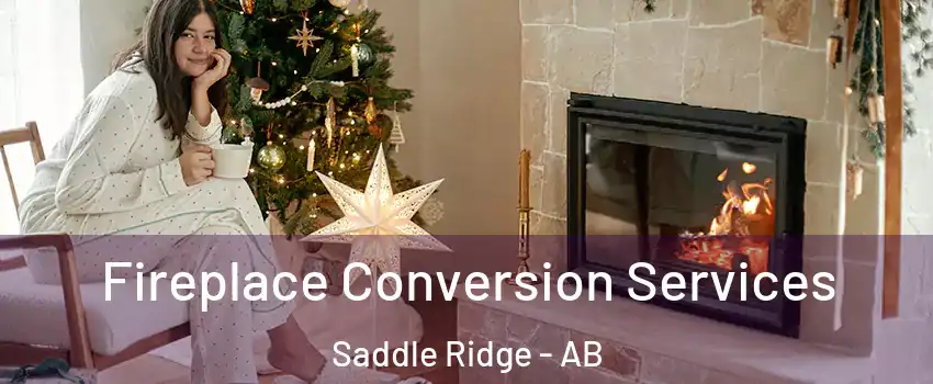  Fireplace Conversion Services Saddle Ridge - AB