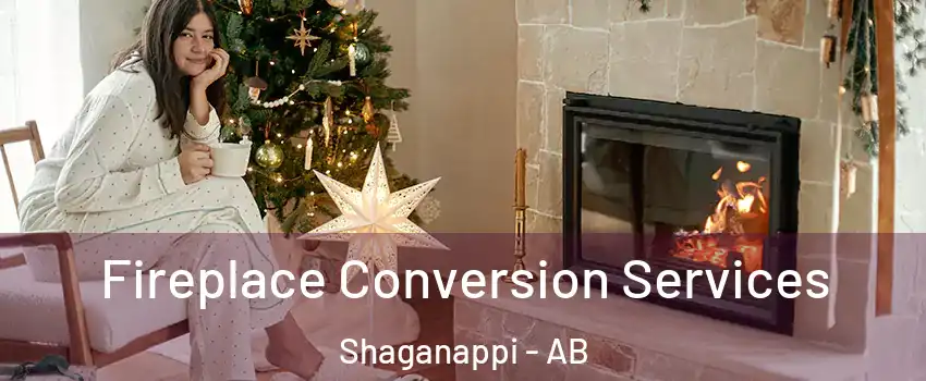  Fireplace Conversion Services Shaganappi - AB