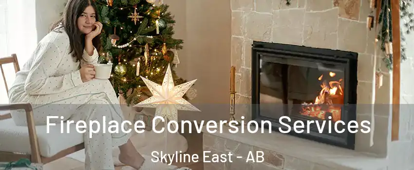  Fireplace Conversion Services Skyline East - AB
