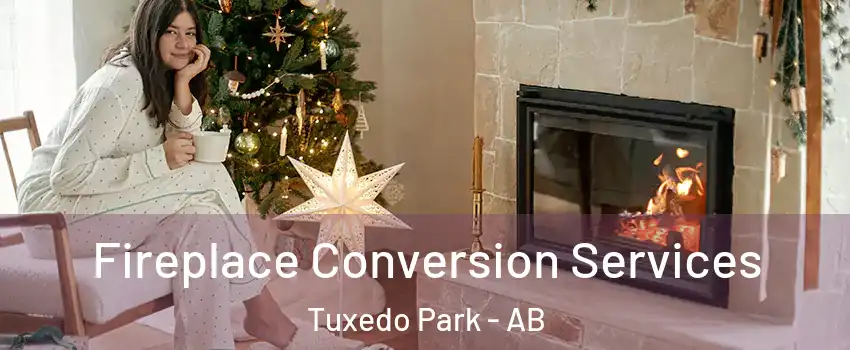  Fireplace Conversion Services Tuxedo Park - AB