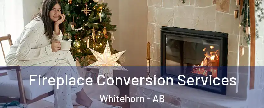  Fireplace Conversion Services Whitehorn - AB