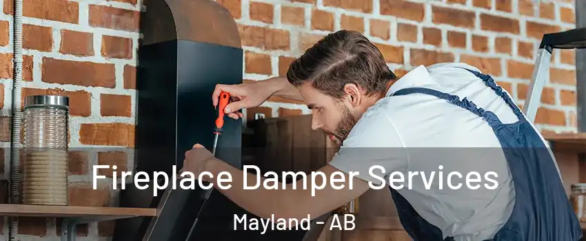  Fireplace Damper Services Mayland - AB