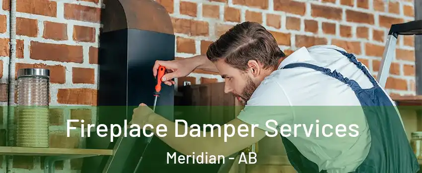  Fireplace Damper Services Meridian - AB