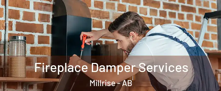  Fireplace Damper Services Millrise - AB