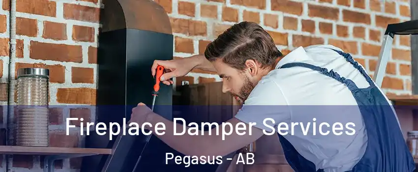  Fireplace Damper Services Pegasus - AB