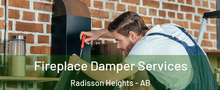  Fireplace Damper Services Radisson Heights - AB