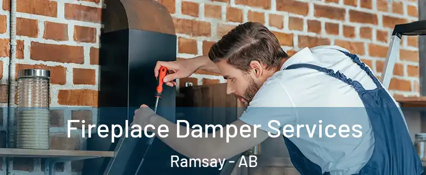  Fireplace Damper Services Ramsay - AB
