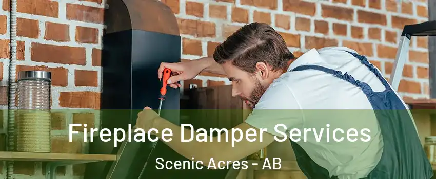  Fireplace Damper Services Scenic Acres - AB