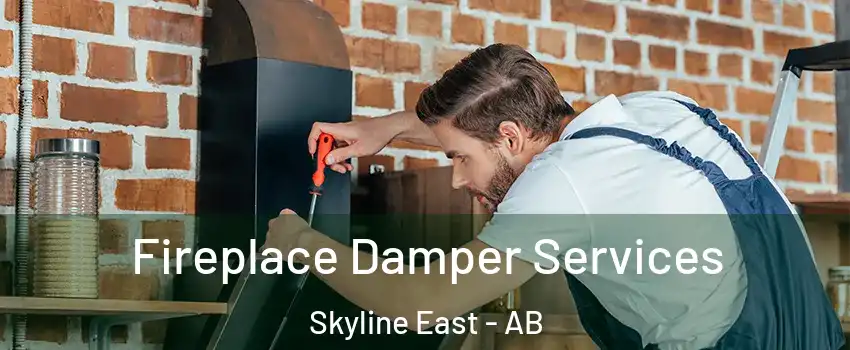  Fireplace Damper Services Skyline East - AB