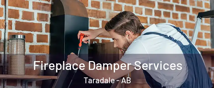  Fireplace Damper Services Taradale - AB