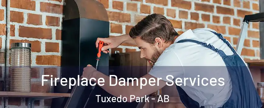  Fireplace Damper Services Tuxedo Park - AB