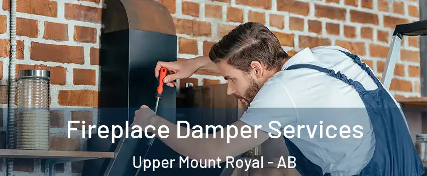  Fireplace Damper Services Upper Mount Royal - AB
