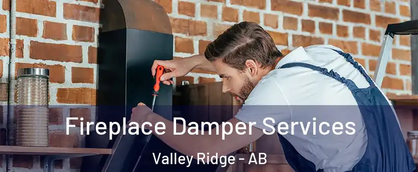  Fireplace Damper Services Valley Ridge - AB