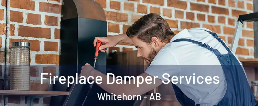  Fireplace Damper Services Whitehorn - AB