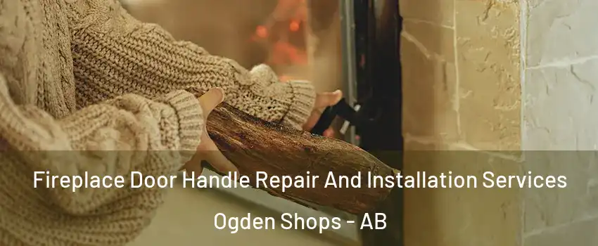  Fireplace Door Handle Repair And Installation Services Ogden Shops - AB