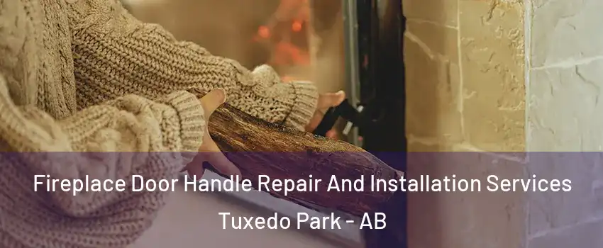  Fireplace Door Handle Repair And Installation Services Tuxedo Park - AB