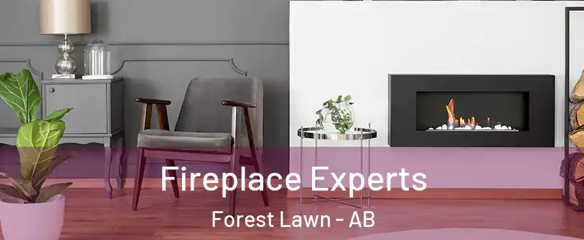  Fireplace Experts Forest Lawn - AB