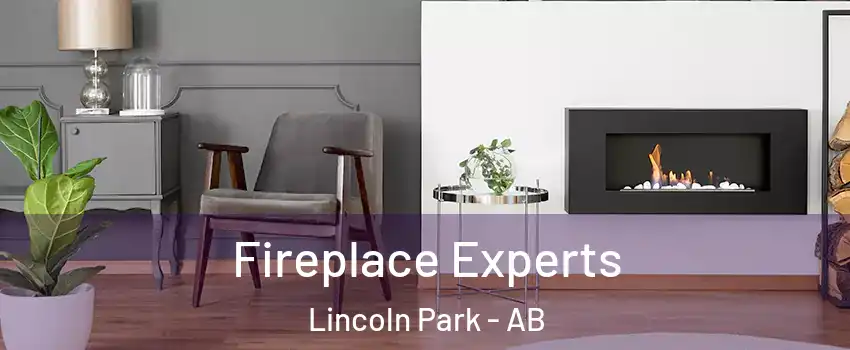  Fireplace Experts Lincoln Park - AB