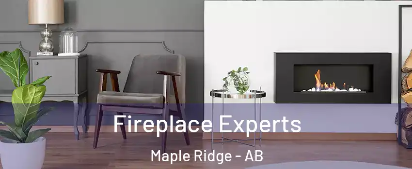  Fireplace Experts Maple Ridge - AB