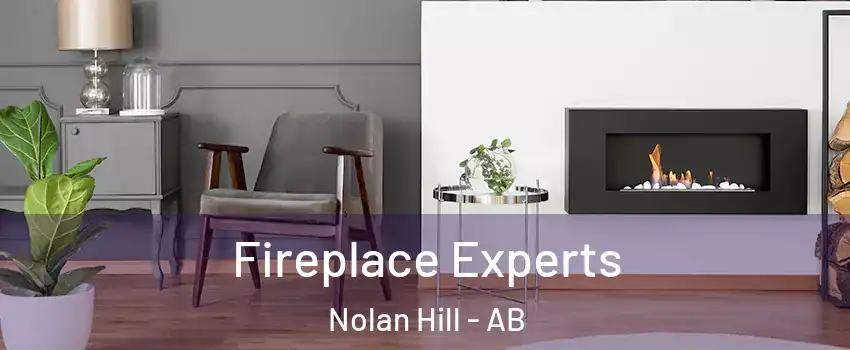  Fireplace Experts Nolan Hill - AB
