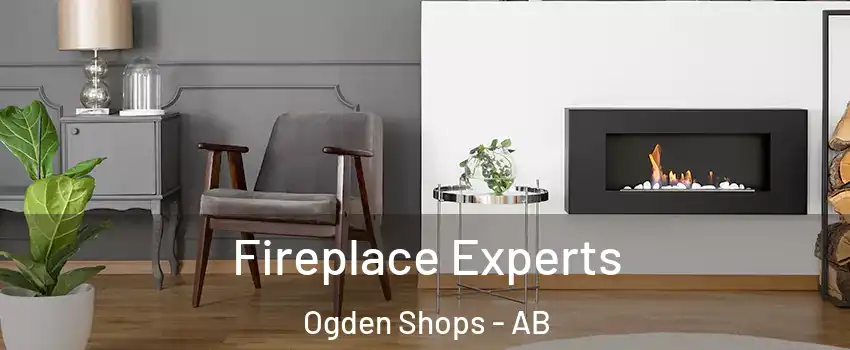  Fireplace Experts Ogden Shops - AB