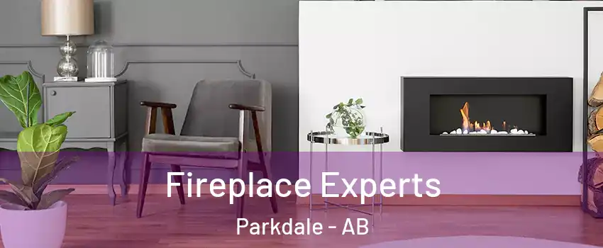  Fireplace Experts Parkdale - AB