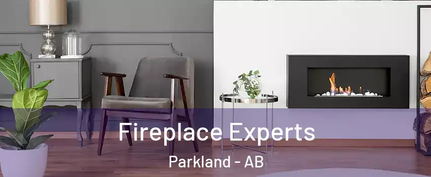  Fireplace Experts Parkland - AB