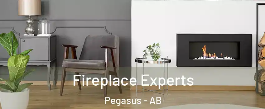 Fireplace Experts Pegasus - AB