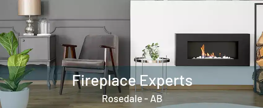  Fireplace Experts Rosedale - AB