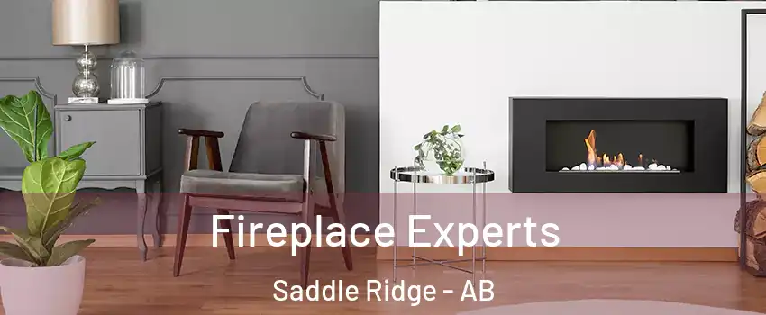  Fireplace Experts Saddle Ridge - AB