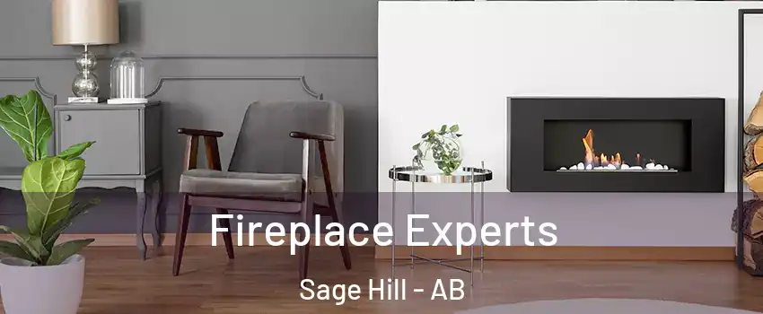  Fireplace Experts Sage Hill - AB
