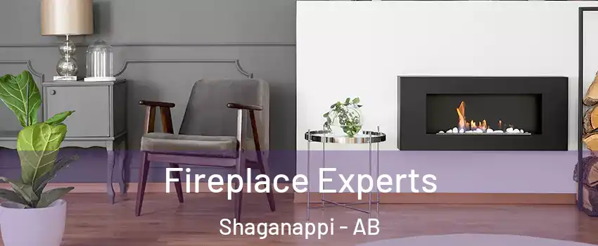 Fireplace Experts Shaganappi - AB
