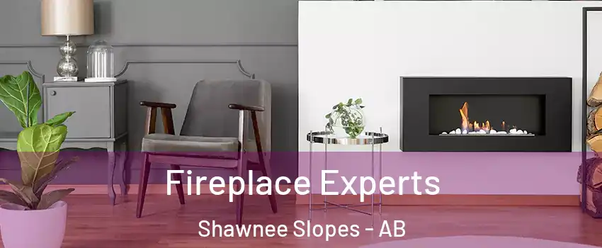  Fireplace Experts Shawnee Slopes - AB