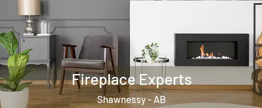  Fireplace Experts Shawnessy - AB