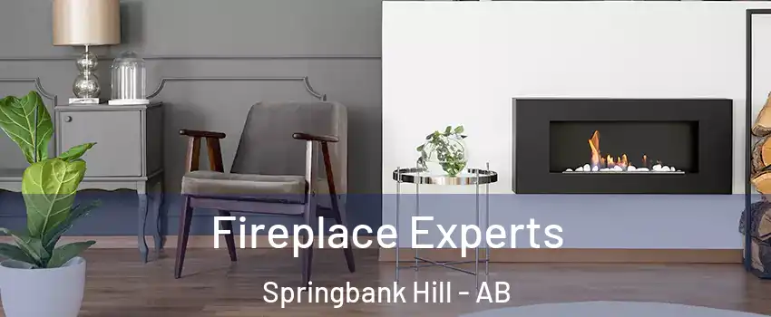  Fireplace Experts Springbank Hill - AB