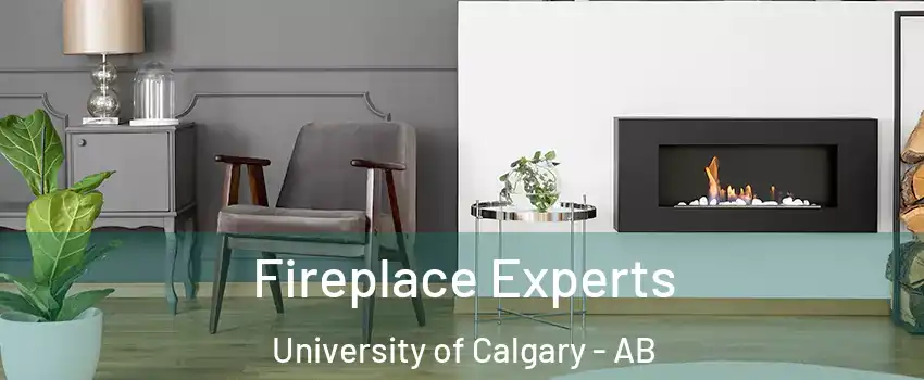  Fireplace Experts University of Calgary - AB