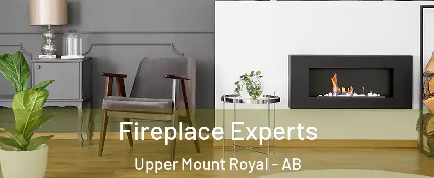  Fireplace Experts Upper Mount Royal - AB