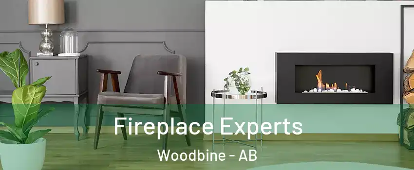  Fireplace Experts Woodbine - AB
