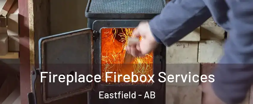  Fireplace Firebox Services Eastfield - AB