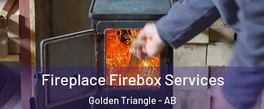  Fireplace Firebox Services Golden Triangle - AB
