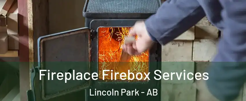  Fireplace Firebox Services Lincoln Park - AB