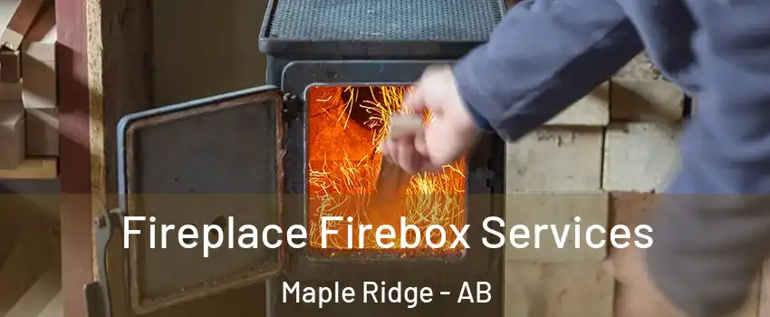  Fireplace Firebox Services Maple Ridge - AB