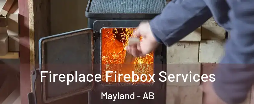  Fireplace Firebox Services Mayland - AB